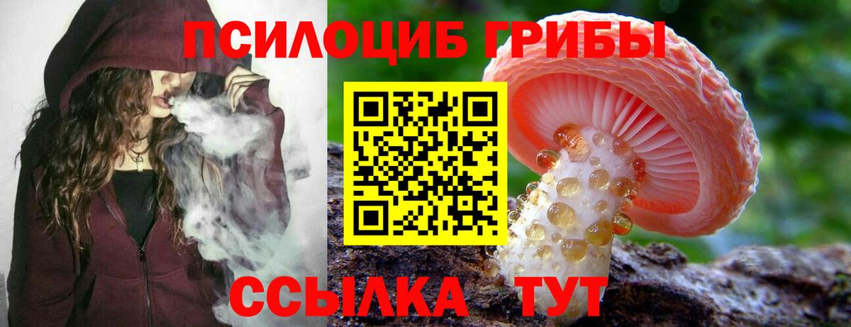 Галлюциногенные грибы Psilocybe  Вход с VPN  Галлюциногенные грибы ЛСД  Миллерово 